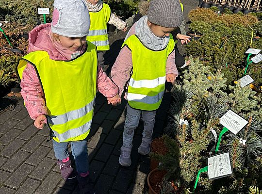 Gr. II Wycieczka do centrum ogrodniczego