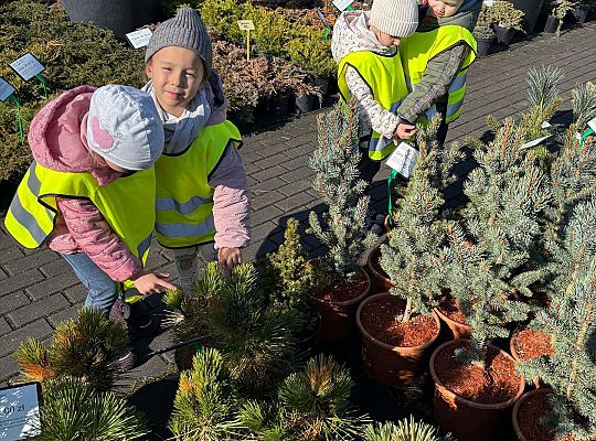 Gr. II Wycieczka do centrum ogrodniczego
