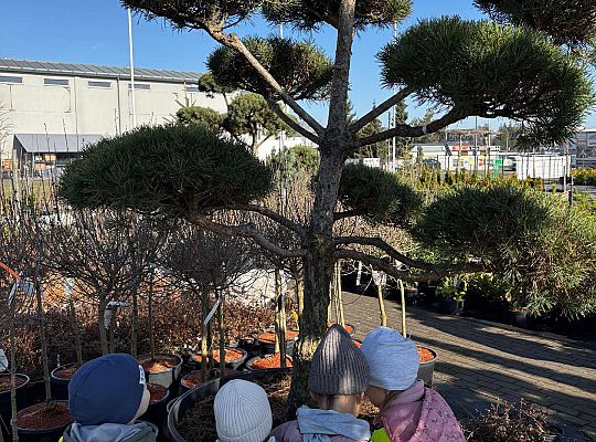 Gr. II Wycieczka do centrum ogrodniczego