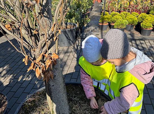 Gr. II Wycieczka do centrum ogrodniczego