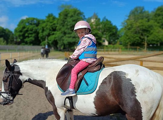 Gr. I Dzień Dziecka. Stadnina Koni, Nowęcin