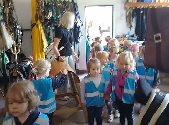 Gr. I Dzień Dziecka. Stadnina Koni, Nowęcin