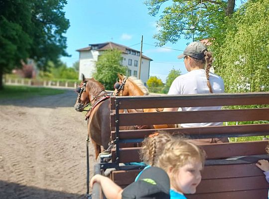 Gr. I Dzień Dziecka. Stadnina Koni, Nowęcin