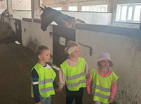 Gr. II Dzień Dziecka.  Stadnina koni w Nowęcinie.