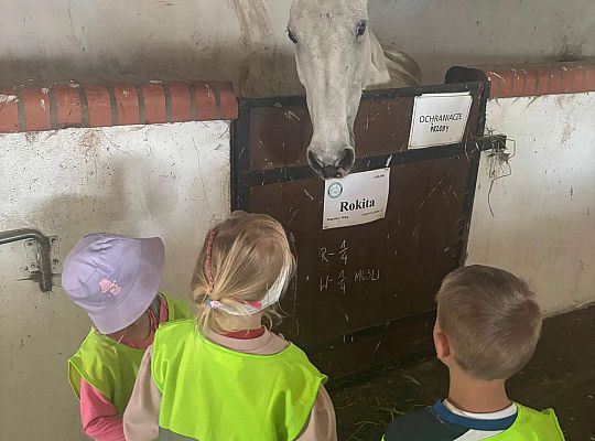 Gr. II Dzień Dziecka.  Stadnina koni w Nowęcinie.