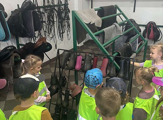 Gr. II Dzień Dziecka.  Stadnina koni w Nowęcinie.