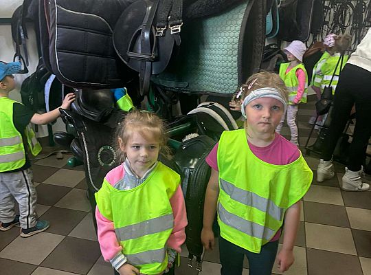 Gr. II Dzień Dziecka.  Stadnina koni w Nowęcinie.