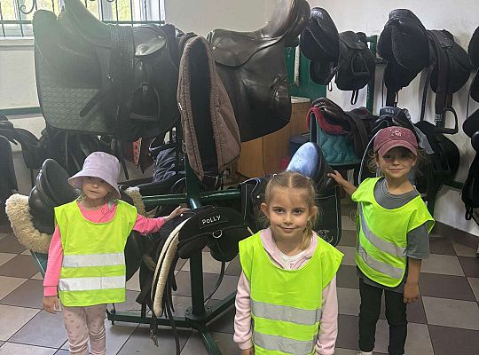 Gr. II Dzień Dziecka.  Stadnina koni w Nowęcinie.