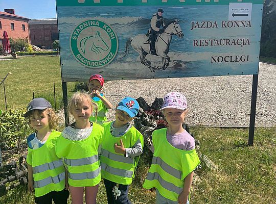Gr. II Dzień Dziecka.  Stadnina koni w Nowęcinie.