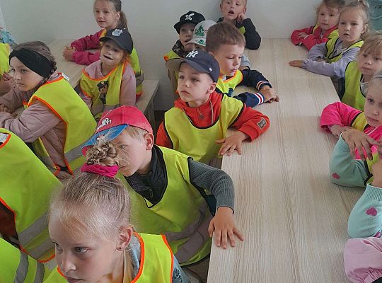 Gr.III i IV Wycieczka do Gowina