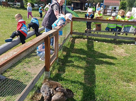 Gr. I Wycieczka do Zagrody Gowińskiej