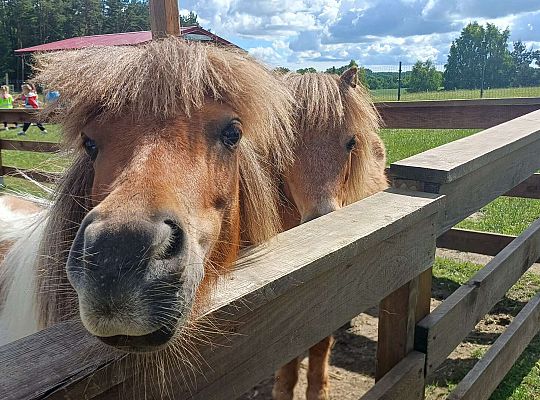 Gr. I Wycieczka do Zagrody Gowińskiej