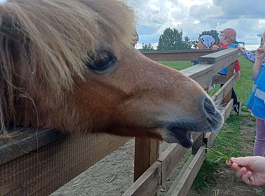 Gr. I Wycieczka do Zagrody Gowińskiej