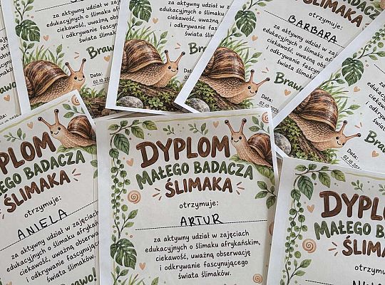 Gr.III Poznajemy ślimaka afrykańskiego