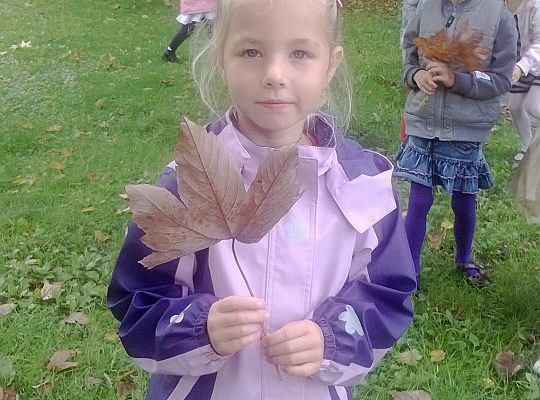 Jesienny spacer do parku