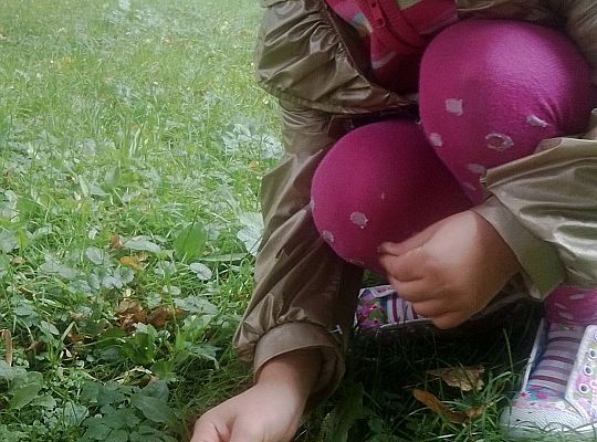 Jesienny spacer do parku