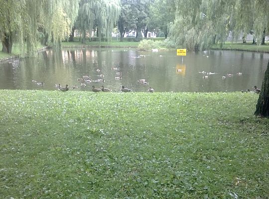 Jesienny spacer do parku