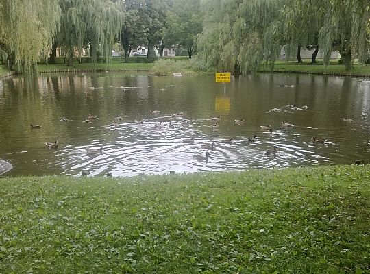 Jesienny spacer do parku