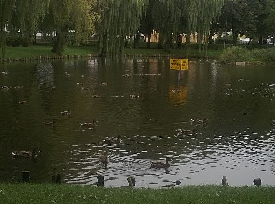 Jesienny spacer do parku