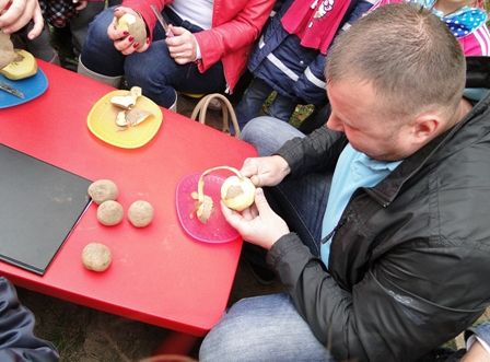 Święto pieczonego ziemniaka