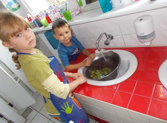 Owocowe szaszłyki gr iv