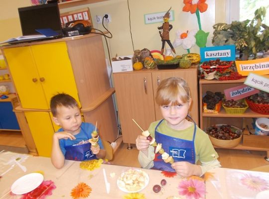 Owocowe szaszłyki gr iv