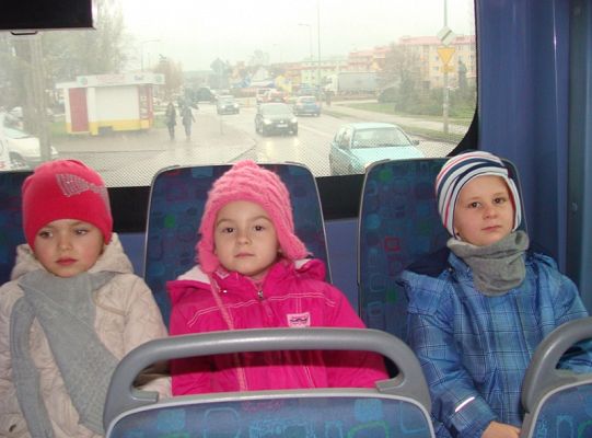 Niesforne słoniatko