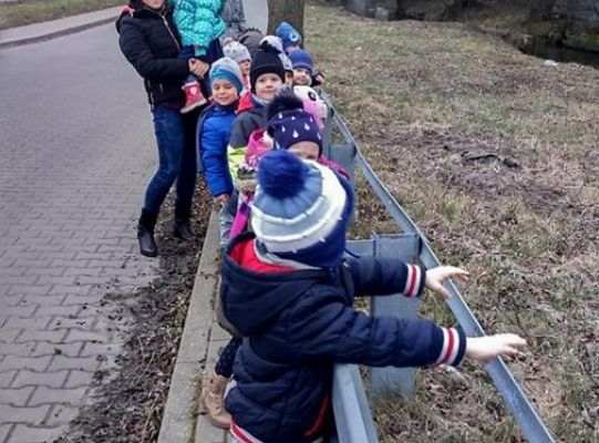 Pierwszy dzien wiosny 2,3