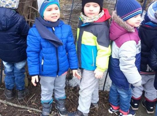 Pierwszy dzien wiosny 2,3