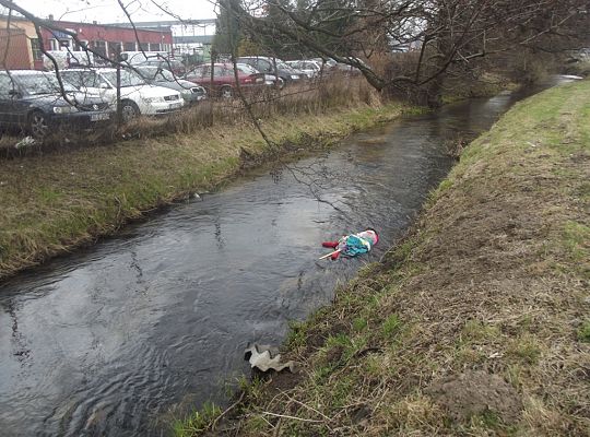 Pierwszy dzien wiosny 2,3