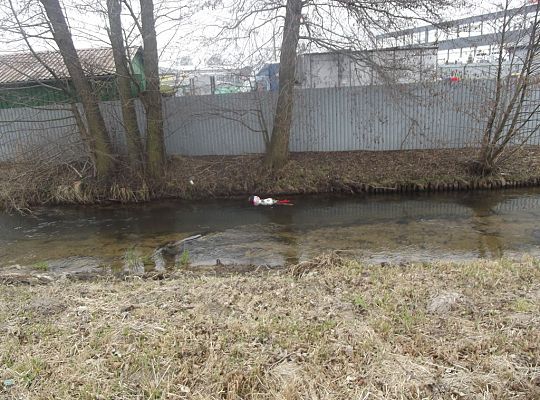 Pierwszy dzien wiosny 2,3