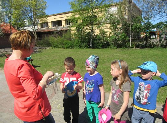 Ruchowe na podwórku