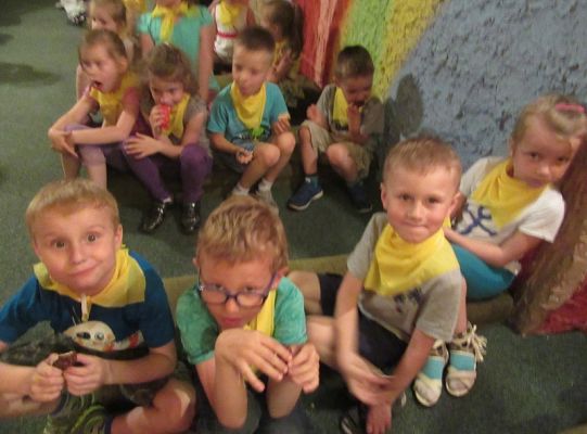 Pasowanie na czytelnika