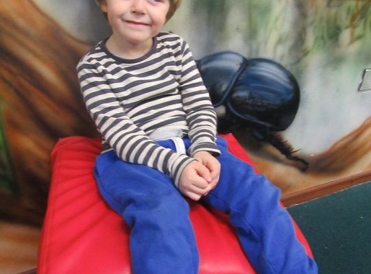 Zabawy w Smykolandii Grupa 1, Grupa 2