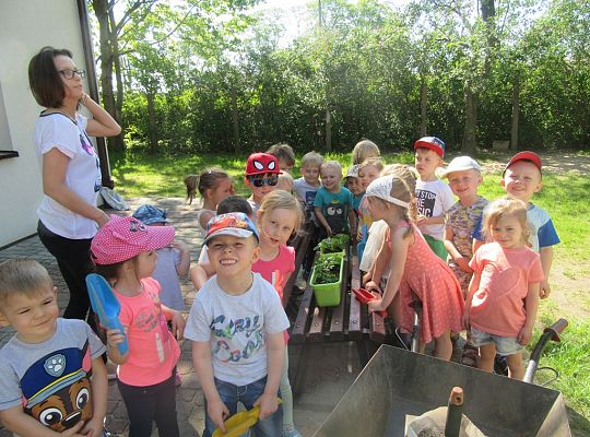 Mali ogrodnicy-Sadzimy Grupa 1