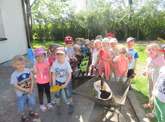 Mali ogrodnicy-Sadzimy Grupa 1