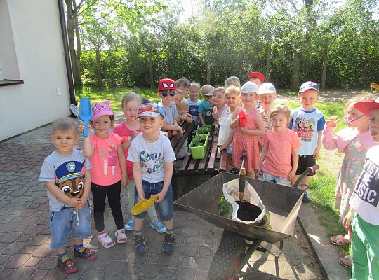 Mali ogrodnicy-Sadzimy Grupa 1