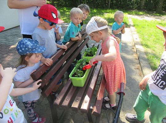 Mali ogrodnicy-Sadzimy Grupa 1