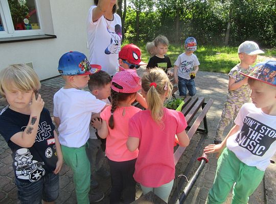 Mali ogrodnicy-Sadzimy Grupa 1