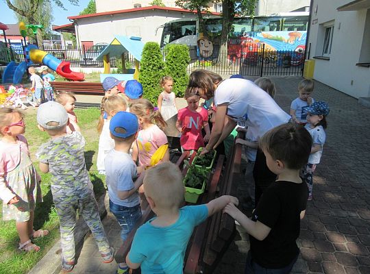 Mali ogrodnicy-Sadzimy Grupa 1