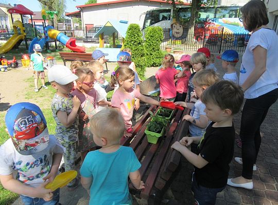 Mali ogrodnicy-Sadzimy Grupa 1