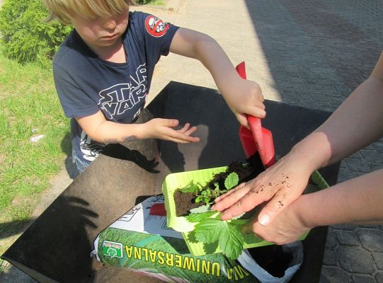 Mali ogrodnicy-Sadzimy Grupa 1