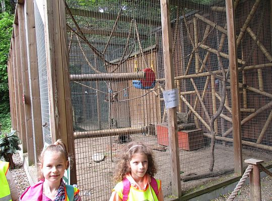 Nasza wygrana! Wycieczka do Dinoparku w Malborku Grupa 4