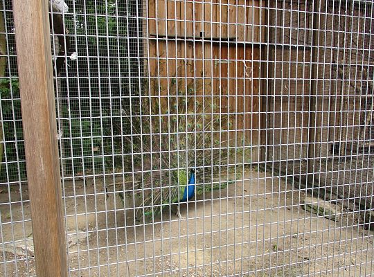 Nasza wygrana! Wycieczka do Dinoparku w Malborku Grupa 4