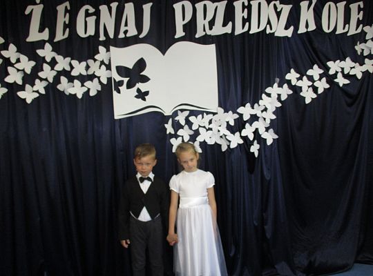 Zakończenie roku 2016/2017-starszaki